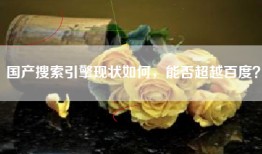 国产搜索引擎现状如何，能否超越百度？