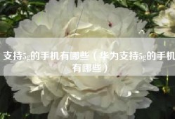 支持5g的手机有哪些（华为支持5g的手机有哪些）