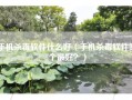 手机杀毒软件什么好（手机杀毒软件哪个最好？）