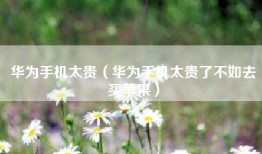 华为手机太贵（华为手机太贵了不如去买苹果）