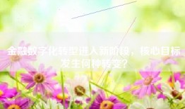 金融数字化转型进入新阶段，核心目标发生何种转变？
