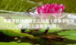 苹果手机快捷键怎么设置（苹果手机快捷键怎么设置手电筒）