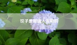 饺子是哪国人发明的