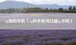 4g加的手机（4g的手机可以插5g卡吗）