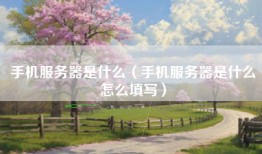 手机服务器是什么（手机服务器是什么怎么填写）