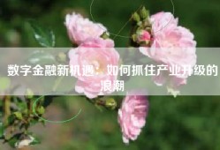 数字金融新机遇：如何抓住产业升级的浪潮