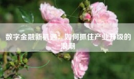 数字金融新机遇：如何抓住产业升级的浪潮