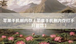 苹果手机删内存（苹果手机删内存打不开微信）