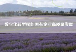 数字化转型赋能国有企业高质量发展