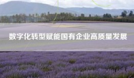 数字化转型赋能国有企业高质量发展