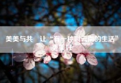 美美与共　让“有一种叫云南的生活”更美好