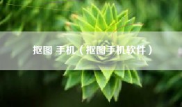 抠图 手机（抠图手机软件）