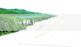 csgo手机（csgo手机版下载）