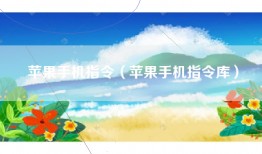 苹果手机指令（苹果手机指令库）