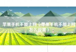 苹果手机不能上网（苹果手机不能上网怎么设置）