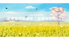诺基亚手机墙纸（诺基亚壁纸app）
