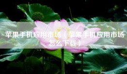 苹果手机应用市场（苹果手机应用市场怎么下载）