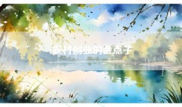农村创业的金点子