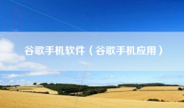 谷歌手机软件（谷歌手机应用）