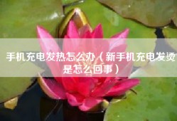 手机充电发热怎么办（新手机充电发烫是怎么回事）