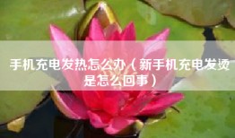 手机充电发热怎么办(新手机充电发烫是怎么回事)