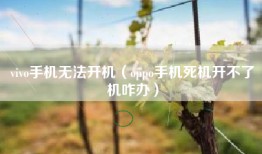 vivo手机无法开机（oppo手机死机开不了机咋办）