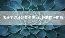 考社工证补贴多少钱 2024补助标准汇总
