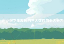 产业数字化发展的三大效应与五大着力点