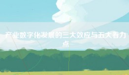 产业数字化发展的三大效应与五大着力点