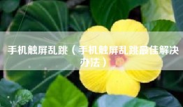 手机触屏乱跳（手机触屏乱跳最佳解决办法）