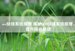 seo快排系统原理 揭秘SEO快排系统原理，提升排名秘籍