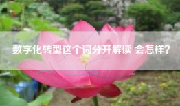 数字化转型这个词分开解读 会怎样？