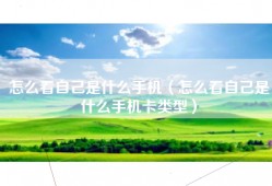 怎么看自己是什么手机（怎么看自己是什么手机卡类型）