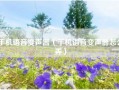手机语音变声器（手机语音变声器怎么弄）