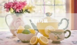 营销方案