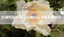 红绿灯玩手机（红绿灯玩手机会被拍吗）