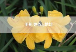 手机更改ip地址