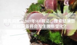 抢先洞察：2019年SEO算法、搜索结果页面和设备将会发生哪些变化？