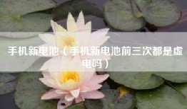 手机新电池（手机新电池前三次都是虚电吗）