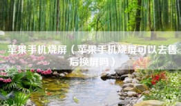 苹果手机烧屏（苹果手机烧屏可以去售后换屏吗）
