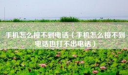 手机怎么接不到电话（手机怎么接不到电话也打不出电话）
