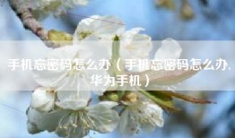 手机忘密码怎么办（手机忘密码怎么办,华为手机）