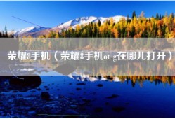 荣耀8手机（荣耀8手机ot g在哪儿打开）