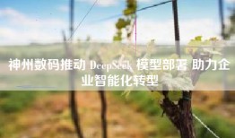 神州数码推动 DeepSeek 模型部署 助力企业智能化转型