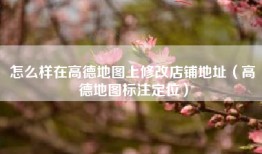 怎么样在高德地图上修改店铺地址（高德地图标注定位）