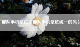部队手机壁纸（部队手机壁纸统一的吗）