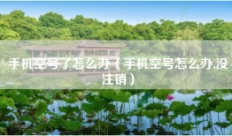 手机空号了怎么办（手机空号怎么办,没注销）