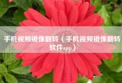手机视频镜像翻转（手机视频镜像翻转软件app）