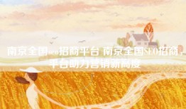 南京全国seo招商平台 南京全国SEO招商，平台助力营销新高度