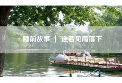 睡前故事 ｜ 谁看见雨落下